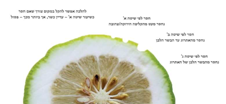 אתרוג חסר